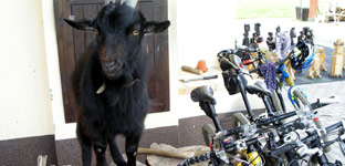 Mountainbike 2 Tagestour